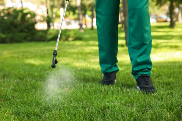  Forks, WA Pest Control Pros