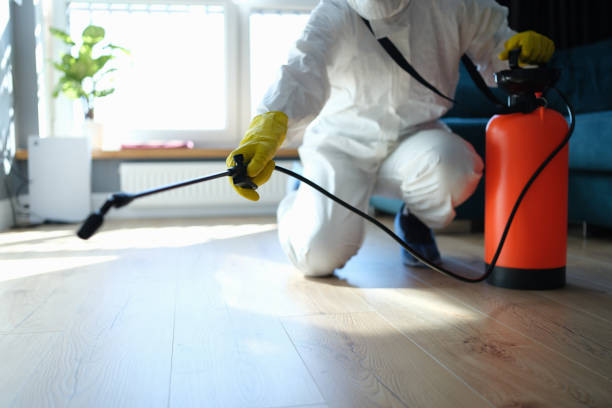 Best Flea Control Services  in Forks, WA