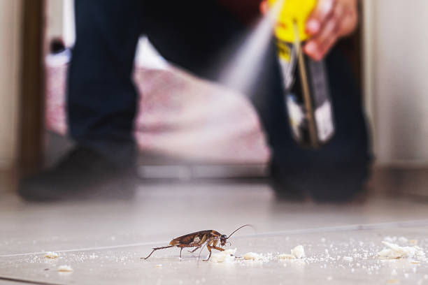Best Best Pest Control Companies  in Forks, WA