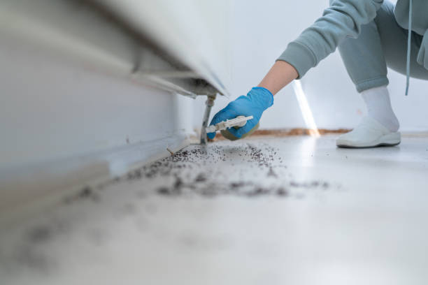Best Pest Prevention Services  in Forks, WA